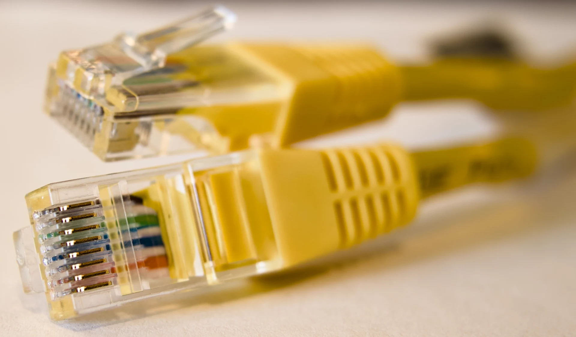 Network cables plugged into a server switch